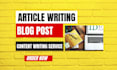 do article writing, blog post and content writing for seo