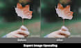 upgrade your images with high quality upscaling service