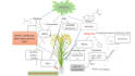 do advanced plant science genetics and molecular analysis