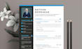 create professional resume design, writing, and update your CV
