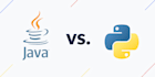 develop website python c cpp  coding data science ai ml java programming project