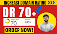 increase ahrefs dr domain rating 70 plus by high seo backlinks