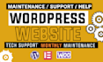 do wordpress maintenance, wordpress customization, bug fix, virtual assistant