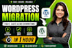 migrate, move wordpress, fast wordpress migration in 1 hour