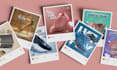 create attractive social media post, post design, stories ads