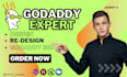 design a professional godaddy website for business