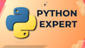 code custom python scripts as per your requirement
