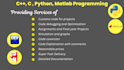 do cpp , c , python, matlab programming for your projects
