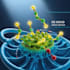 do de novo drug design