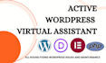be your active wordpress virtual assistant, wordpress SEO, fix issues bug errors