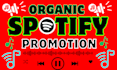 do spotify music promotion through ads campaign