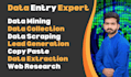 do data entry data extraction data mining data scraping