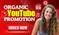 boost your youtube video with targeted promotion