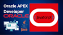 design and develop professional oracle apex applications
