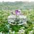 provide 3d photographic rendering for your catalog