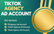 create tiktok ads agency account and setup campaign optimization