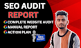 do perfect website SEO audit report and website analysis