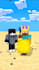 mine craft 3d animation