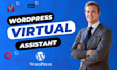 be your expert wordpress VA or wordpress virtual assistant
