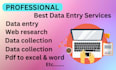 do fast data entry typing job, PDF to word excel, manual copy paste work