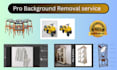 do background removal services with clipping path, white and transparent