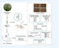 create graphical abstract, scientific illustrations, diagrams and figures