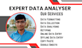 do data aynalizing, formating, data entry, data collection