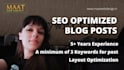 take care of seo copywriting services for wordpress blogs