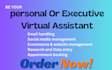 be your proactive personal assistant executive virtual assistant to free up time