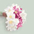 illustrate delicate a floral clipart and illustrations