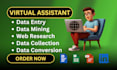 be your virtual assistant for data entry, data mining, web research