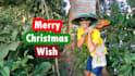 make special christmas wishing video for you