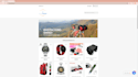 create your business website with 1 yr free domain hosting
