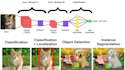 develop and deploy neural networks for image classification and object detection