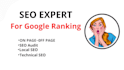 be your SEO expert for top google rankings