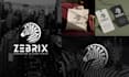 create a professional logo design with a brand identity pack