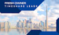 provide fresh owner timeshare leads USA