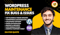do professional wordpress maintenance, website updates, and support