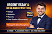 do urgent essay writing as an essay writer