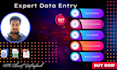 data entry, web research, and PDF conversion expert