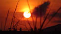 send you a photo of or from anywhere