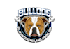 design stylish bulldogs face logo