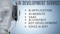 do ai voice phone call system, ai saas web app, ai chatbot, software developer