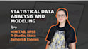 perform statistical data analysis with spss, r, or minitab