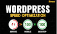 speed up wordpress website and do performance optimization