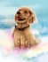 digital illustrations of pets