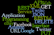 integrate or create a rest API in website