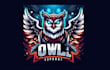 design a creative owl mascot logo with express delivery
