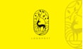 design brand guidelines and logo