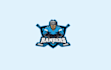 make delightful ice hockey team logo